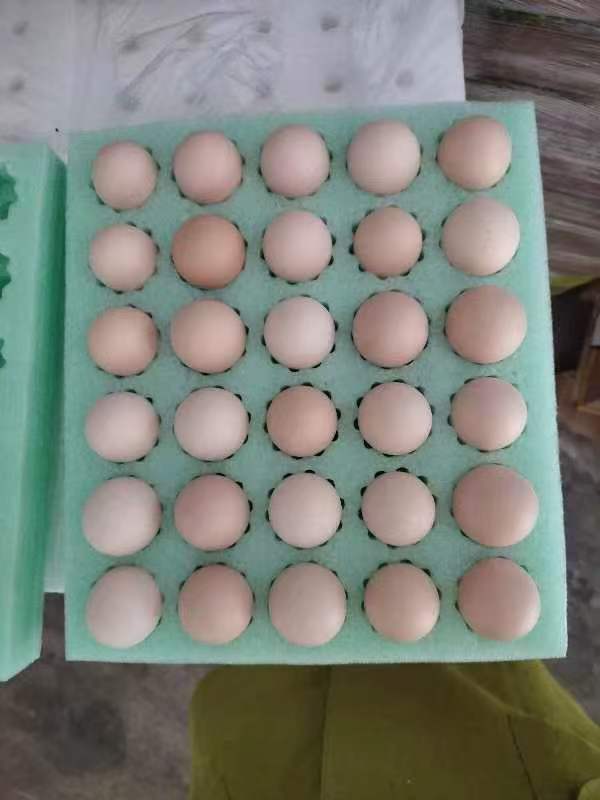 黄教授  鸡蛋 30枚